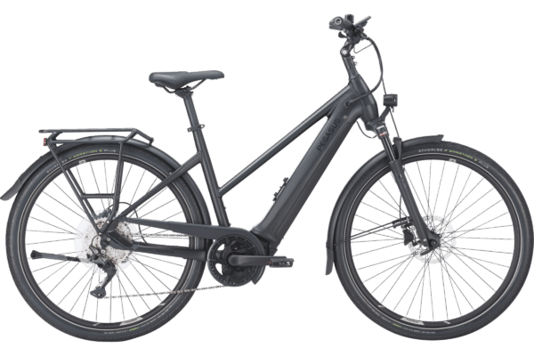 PEGASUS Premio EVO 10 Lite – Bild 2