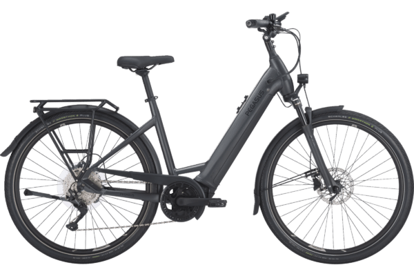 PEGASUS Premio EVO 10 Lite – Bild 4